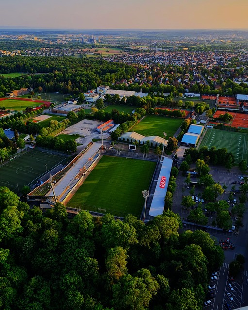 邁阿密國際 邁阿密國際