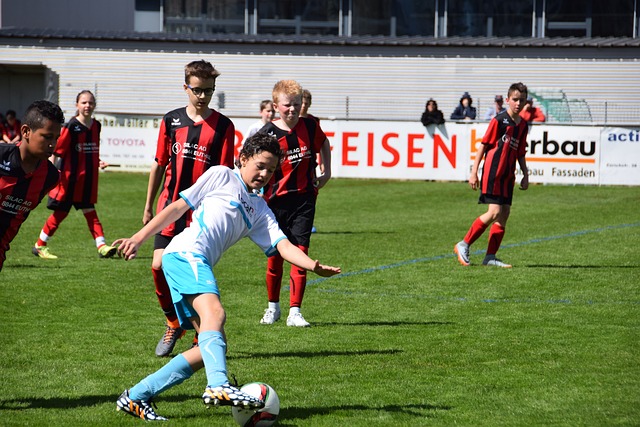 因法律纠纷 因法律纠纷