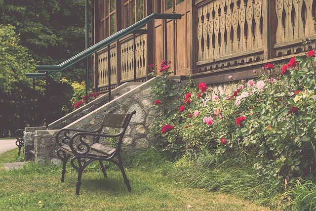 也展现了其 也展现了其