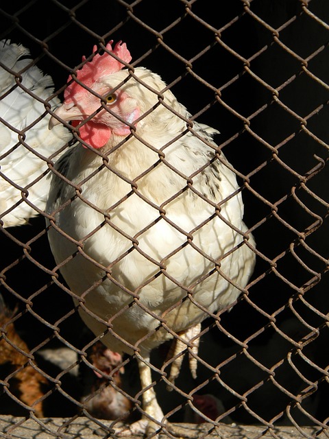 更新换代并 更新换代并