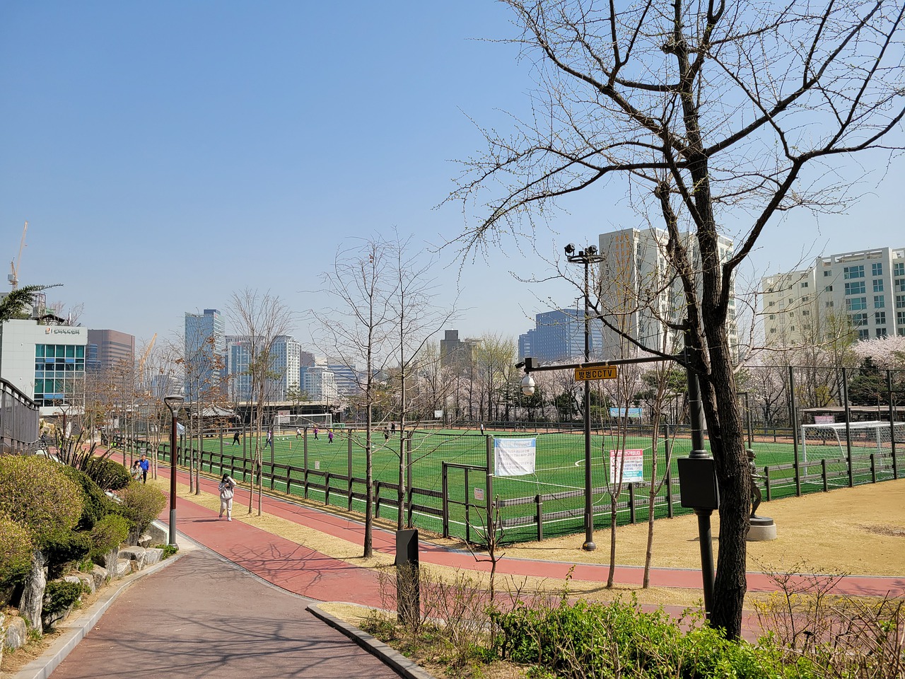 心和合理的 心和合理的