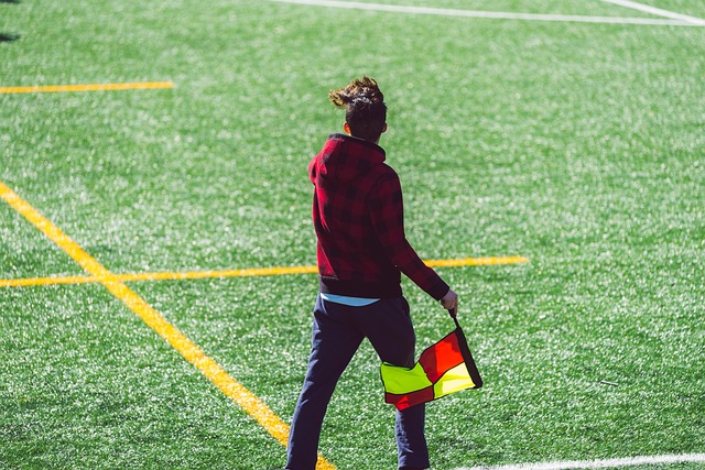 表性的案例 表性的案例