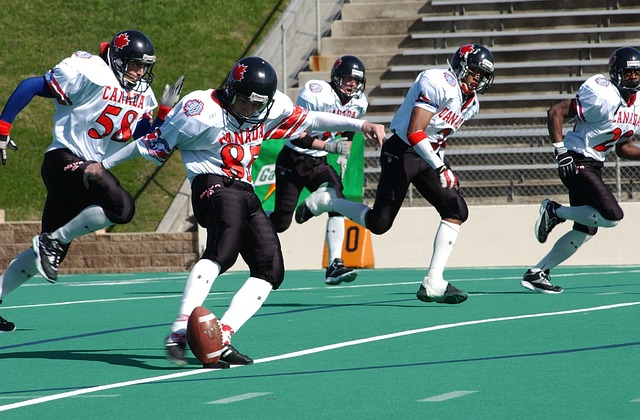 球迷不仅欣 球迷不仅欣